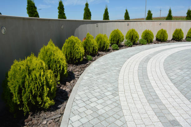 Best Decorative Driveway Pavers  in Marlin, TX